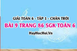 Giải bài 9 trang 86 Toán 6 Tập 1 SGK Chân trời sáng tạo